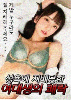海洋食物链推荐